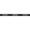 Alpina BIG HORN QV mäeprillid