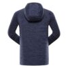 Alpine Pro HISH meeste dressipluus